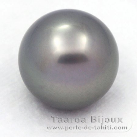 Perla di Tahiti Rotonda B 15.1 mm