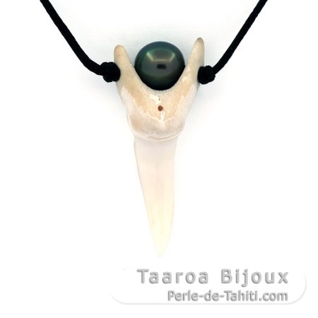 Collana in Cotone, Dente di squalo Mako e 1 Perla di Tahiti Semi-Rotonda C 7.8 mm