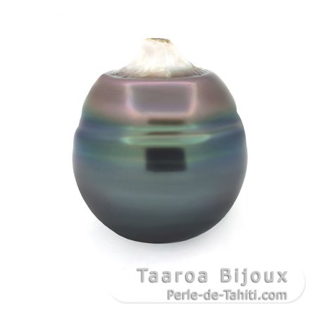 Perla di Tahiti Cerchiata C 14 mm