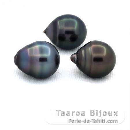 Lotto di 3 Perle di Tahiti Cerchiate C di 11.3 a 11.4 mm