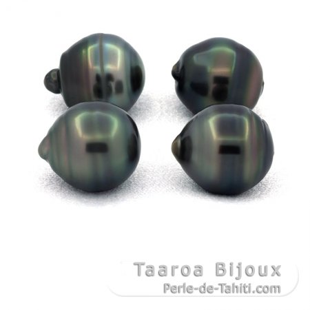 Lotto di 4 Perle di Tahiti Cerchiate C/D di 11.5 a 11.7 mm