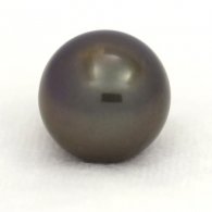 Perla di Tahiti Rotonda C 12.3 mm