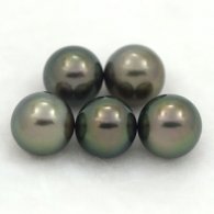 Lotto di 5 Perle di Tahiti Semi-Rotonda C di 9 a 9.3 mm
