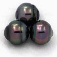 Lotto di 3 Perle di Tahiti Cerchiate C di 10.1 a 10.2 mm