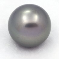 Perla di Tahiti Rotonda B 15.1 mm