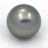 Perla di Tahiti Rotonda C 13 mm