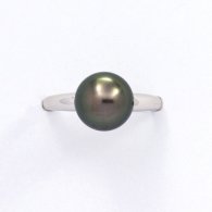 Anello in Argento e 1 Perla di Tahiti Rotonda B 8.9 mm