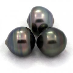 Lotto di 3 Perle di Tahiti Cerchiate C di 12 a 12.3 mm