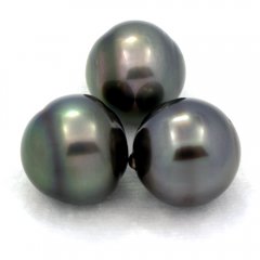Lotto di 3 Perle di Tahiti Cerchiate C di 12.6 a 12.9 mm