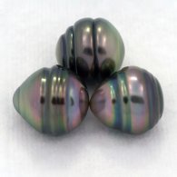 Lotto di 3 Perle di Tahiti Cerchiate B di 9.5 a 9.8 mm