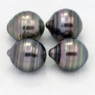 Lotto di 4 Perle di Tahiti Cerchiate C di 9.5 a 9.8 mm