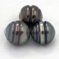 Lotto di 3 Perle di Tahiti Cerchiate C di 9.5 a 9.9 mm