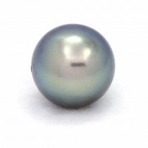 Perla di Tahiti Rotonda C+ 11.3 mm