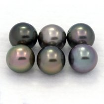 Lotto di 6 Perle di Tahiti Rotonde C di 8.2 a 8.4 mm