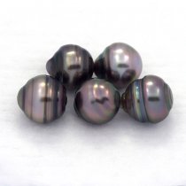 Lotto di 5 Perle di Tahiti Cerchiate C di 8.5 a 8.8 mm