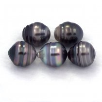 Lotto di 5 Perle di Tahiti Cerchiate C di 9.5 a 10 mm
