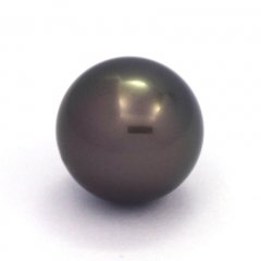 Perla di Tahiti Rotonda B 14.4 mm