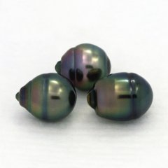 Lotto di 3 Perle di Tahiti Cerchiate B 10 mm