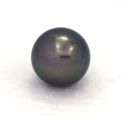 Perla di Tahiti Rotonda B 12.7 mm