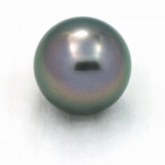 Perla di Tahiti Rotonda B 10.3 mm