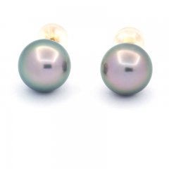 Orecchini in Oro 18K e 2 Perle di Tahiti Rotonde B 8.8 mm