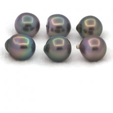 Lotto di 6 Perle di Tahiti Semi-Barocche B di 9.5 a 9.8 mm