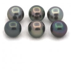 Lotto di 6 Perle di Tahiti Rotonde e Semi-Rotonde C di 8.5 a 8.6 mm