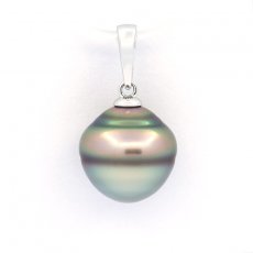 Ciondolo in Argento e 1 Perla de Tahiti Cerchiata C 11.3 mm