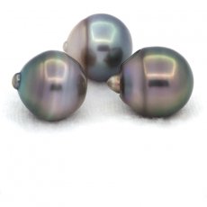 Lotto di 3 Perle di Tahiti Cerchiate C di 12.1 a 12.4 mm