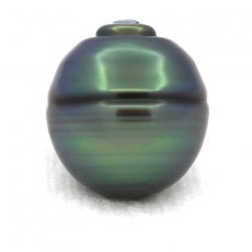 Perla di Tahiti Cerchiata C 13.1 mm