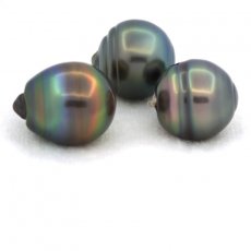Lotto di 3 Perle di Tahiti Cerchiate C di 13 a 13.2 mm
