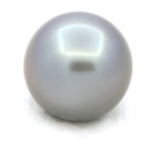 Perla di Tahiti Rotonda B 14 mm