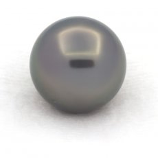 Perla di Tahiti Rotonda C 13.7 mm