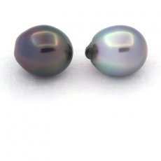 Lotto di 2 Perle di Tahiti Semi-Barocche C 11.1 e 11.2 mm