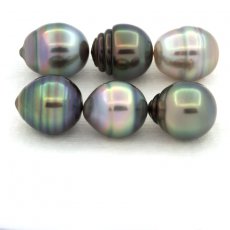 Lotto di 6 Perle di Tahiti Cerchiate B di 9.1 a 9.4 mm