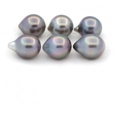 Lotto di 6 Perle di Tahiti Semi-Barocche C di 9.5 a 9.8 mm