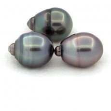 Lotto di 3 Perle di Tahiti Cerchiate C di 11.6 a 11.9 mm