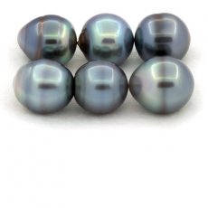 Lotto di 6 Perle di Tahiti Cerchiate C di 12.5  13.1 mm