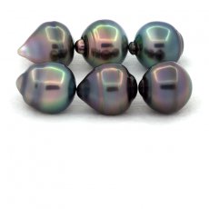 Lotto di 6 Perle di Tahiti Cerchiate B/C di 10.5 a 10.9 mm
