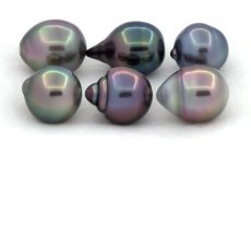 Lotto di 6 Perle di Tahiti Cerchiate B/C di 10 a 10.4 mm