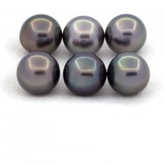 Lotto di 6 Perle di Tahiti Rotonde e Semi-Rotonde C di 8.7 a 8.9 mm