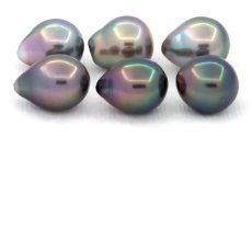 Lotto di 6 Perle di Tahiti Semi-Barocche C di 9 a 9.4 mm
