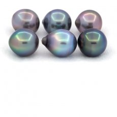 Lotto di 6 Perle di Tahiti Semi-Barocche C di 10 a 10.4 mm
