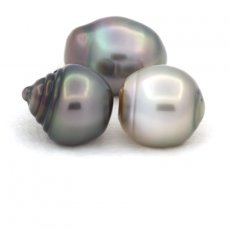 Lotto di 3 Perle di Tahiti Cerchiate C di 10.6 a 10.8 mm