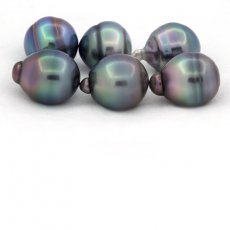 Lotto di 6 Perle di Tahiti Cerchiate B/C di 12 a 12.4 mm