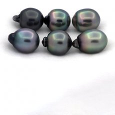 Lotto di 6 Perle di Tahiti Semi-Barocche B/C di 11.5 a 11.9 mm