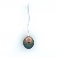 Ciondolo in Argento e 1 Perla de Tahiti Cerchiata B 9.2 mm