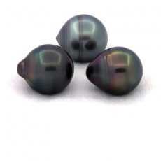Lotto di 3 Perle di Tahiti Cerchiate C di 12 a 12.4 mm