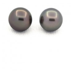 Lotto di 2 Perle di Tahiti Rotonde C/D 12.8 mm