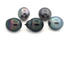 Lotto di 5 Perle di Tahiti Semi-Barocche C di 9.6 a 9.9 mm